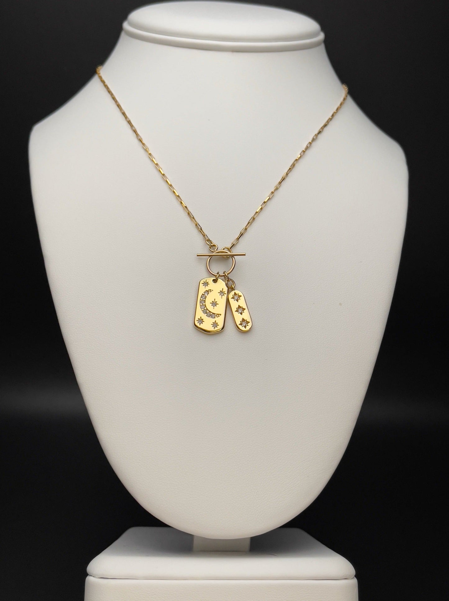 Image of necklace with toggle clasp and two charms.