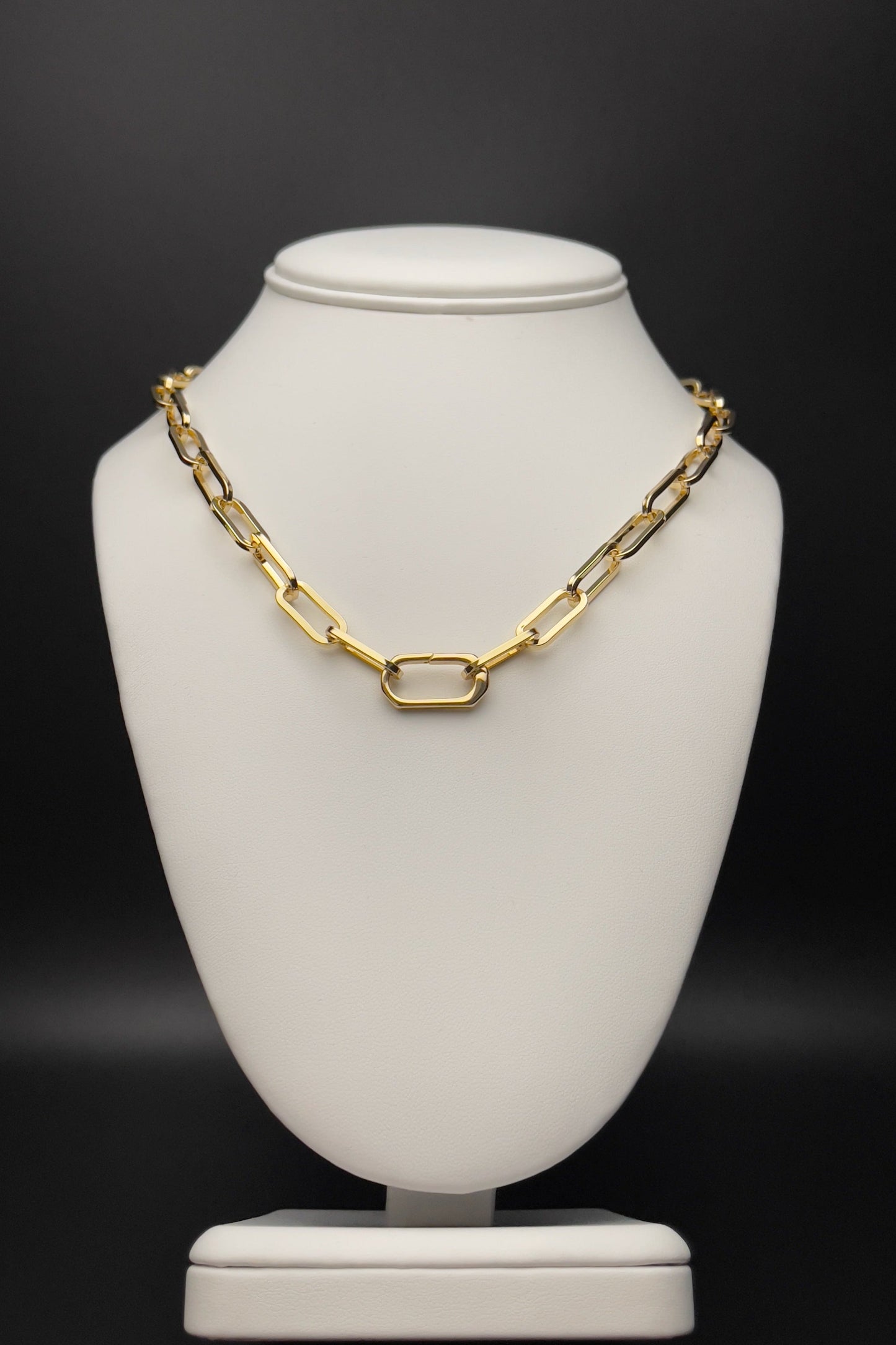Image of necklace made with paperclip chain.
